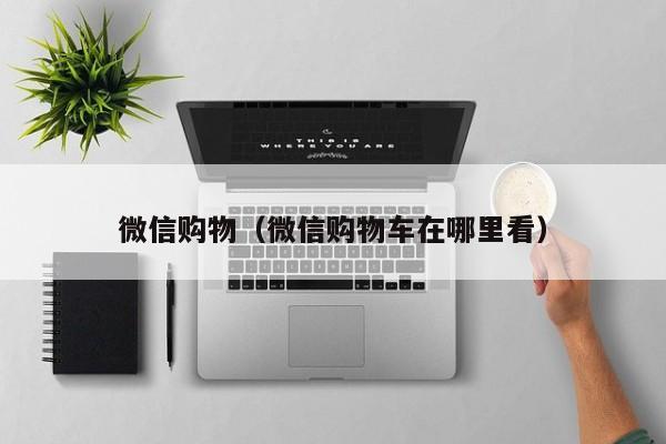微信购物（微信购物车在哪里看）