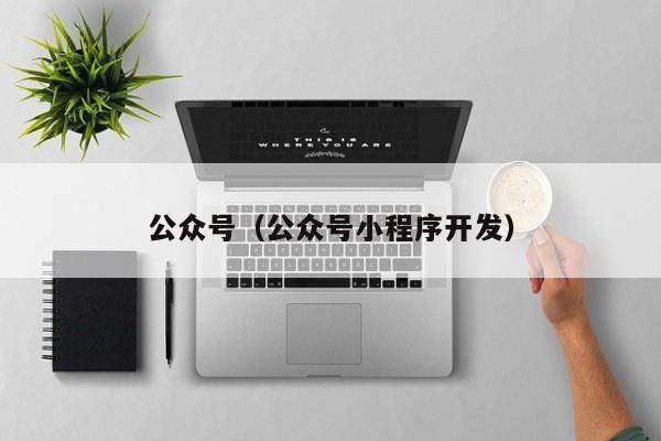 公众号（公众号小程序开发）