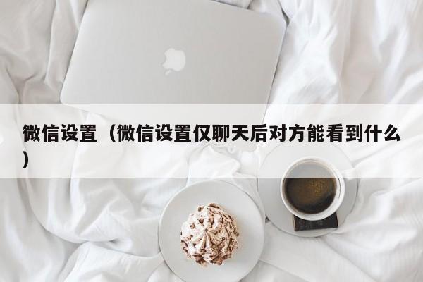 微信设置（微信设置仅聊天后对方能看到什么）